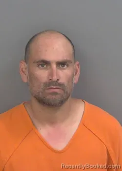 Mugshot of LUIS RENEE GONZALEZ