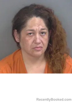 Mugshot of GLORIA CHRISTY TIJERINA