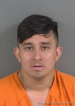 Mugshot of DELVIN ANDRES REYESREYES