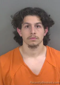 Mugshot of CHRISTOPHER PROENZAGUTIERREZ booked in Collier County, Florida on March 20, 2026