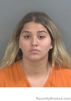 Mugshot of LOURDES MAGALI ALONSO booked in Collier County, Florida on March 20, 2026