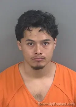 Mugshot of DENNIS HERNANDEZ-OVANDO booked in Collier County, Florida on March 21, 2026