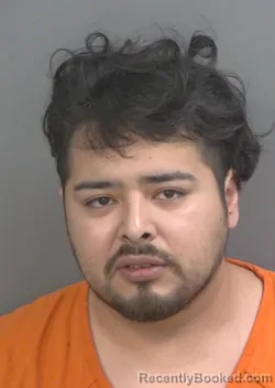 Mugshot of RICARDO ALEXIS PONCERANGEL booked in Collier County, Florida on March 22, 2026