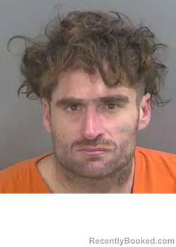 Mugshot of SHANE DIPAOLO booked in Collier County, Florida on March 24, 2026