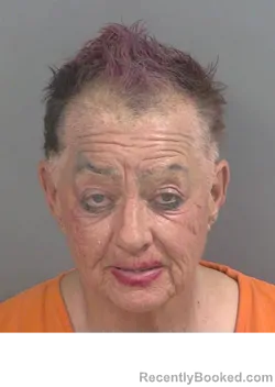 Mugshot of SARA ELIZABETH POPPELE booked in Collier County, Florida on March 26, 2026