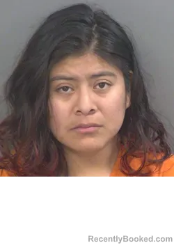 Mugshot of LEAH MARIELA MCCARDLE booked in Collier County, Florida on March 26, 2026