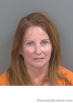 Mugshot of WENDI CAROL WILLIAMS booked in Collier County, Florida on March 27, 2026
