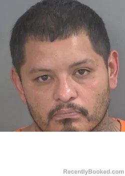 Mugshot of ANTONIO NILES RODRIGUEZ-ESCOJIDO booked in Collier County, Florida on March 28, 2026