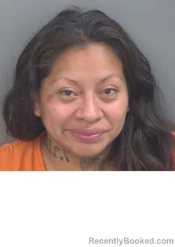 Mugshot of MIRIAM DOMINGOPABLO booked in Collier County, Florida on March 28, 2026