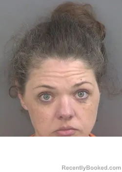 Mugshot of AMBER NICHOL NELSON booked in Collier County, Florida on March 29, 2026