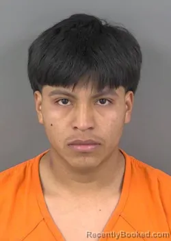 Mugshot of MARIOENRIQUE JIMENEZLOPEZ booked in Collier County, Florida on March 29, 2026