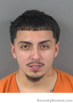 Mugshot of DAVID XAVIER SILVA booked in Collier County, Florida on April 1, 2026