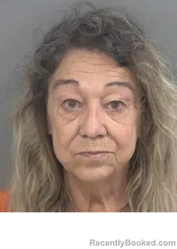 Mugshot of THELMA FLORES booked in Collier County, Florida on April 1, 2026