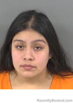 Mugshot of CRISTAL CIDVELASQUEZ booked in Collier County, Florida on April 2, 2026