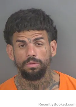 Mugshot of ENRIQUE MANUEL LAUREANO booked in Collier County, Florida on April 2, 2026