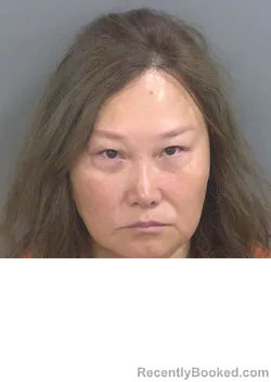 Mugshot of GE SONG booked in Collier County, Florida on April 3, 2026