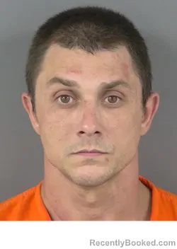 Mugshot of MICHAEL BELLARDINO booked in Collier County, Florida on April 3, 2026