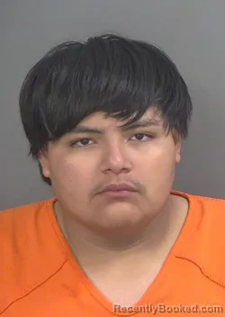 Mugshot of ADRIAN ARREGUIN booked in Collier County, Florida on April 4, 2026