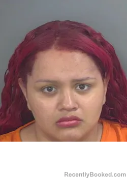 Mugshot of JESIEL ELVIRMELENDEZ booked in Collier County, Florida on April 10, 2026