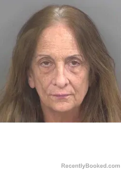 Mugshot of JANE AUSTIN booked in Collier County, Florida on April 21, 2026