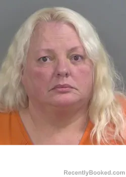 Mugshot of BETSY CASTELLANOS booked in Collier County, Florida on April 25, 2026