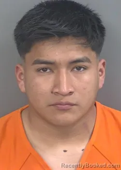 Mugshot of LUIS ARTURO RODRIGUEZOVALLE booked in Collier County, Florida on April 25, 2026