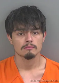 Mugshot of DAVID HERNANDEZ booked in Collier County, Florida on April 27, 2026