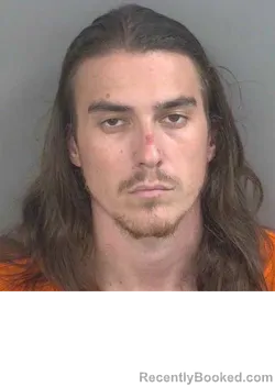 Mugshot of TRYSTAN JAMES FLEGAL booked in Collier County, Florida on April 28, 2026