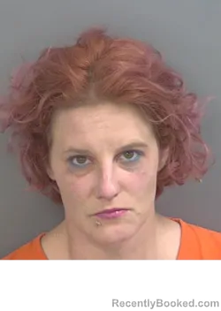 Mugshot of MEGAN NICHOLE GORDON booked in Collier County, Florida on April 30, 2026