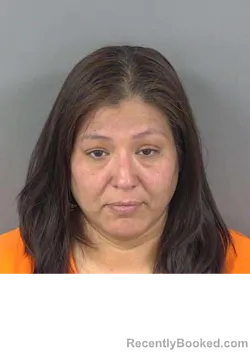 Mugshot of STACIE LEE GARZA booked in Collier County, Florida on April 30, 2026