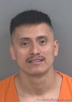 Mugshot of BARTOLO RAMOSHERNANDEZ booked in Collier County, Florida on May 1, 2026