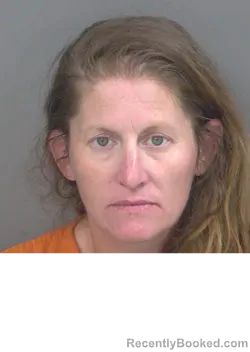 Mugshot of BAMBI MOERS booked in Collier County, Florida on May 1, 2026