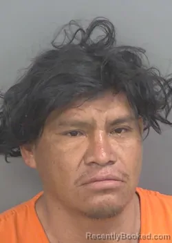 Mugshot of REGINO BAUTISTA-SANTIAGO booked in Collier County, Florida on May 2, 2026