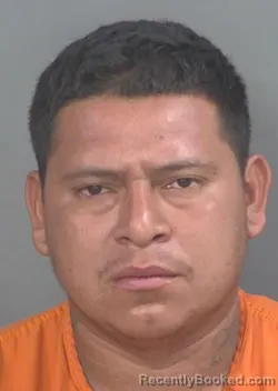 Mugshot of ESWIN ORLANDO HERNANDEZ-AGREDA booked in Collier County, Florida on May 2, 2026