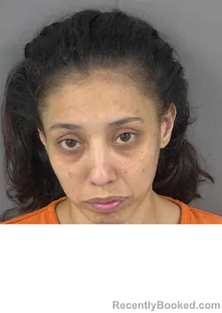 Mugshot of RIKKA PERALEZ booked in Collier County, Florida on May 2, 2026