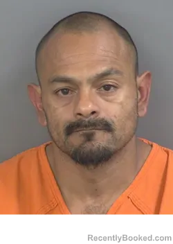 Mugshot of DANIEL TORRES AVALOS booked in Collier County, Florida on May 4, 2026