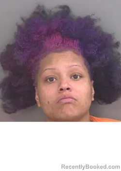 Mugshot of BRIANA DOMINGUEZ booked in Collier County, Florida on May 5, 2026