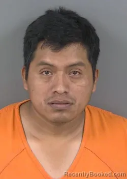 Mugshot of MIGUEL SALASGOMEZ booked in Collier County, Florida on May 6, 2026