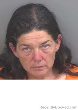 Mugshot of DAWN NOLLEY booked in Collier County, Florida on May 6, 2026