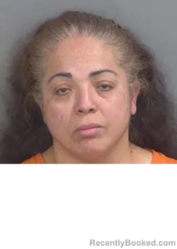 Mugshot of ERIKA S MANRIQUEZ booked in Collier County, Florida on May 7, 2026