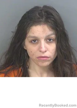 Mugshot of CRISTINA TORRESHERNANDEZ booked in Collier County, Florida on May 8, 2026