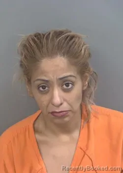 Mugshot of SANJUANA ALVEAR booked in Collier County, Florida on May 8, 2026