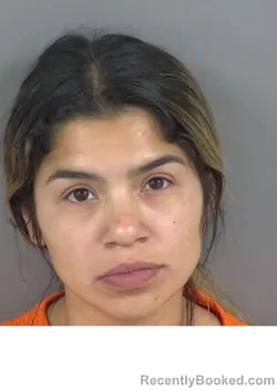 Mugshot of EMELY JIMENEZ booked in Collier County, Florida on May 11, 2026