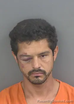 Mugshot of DANIEL ROMERO CARLON booked in Collier County, Florida on May 11, 2026