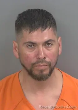 Mugshot of LUIS FERNANDO TORRES booked in Collier County, Florida on May 11, 2026