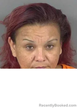 Mugshot of VERONICA GONZALES booked in Collier County, Florida on May 12, 2026