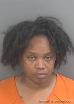Mugshot of WENDY LINETTE GIBBONS booked in Collier County, Florida on May 12, 2026