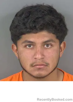 Mugshot of CARLOS YAEL PEREZREBOLLEDO booked in Collier County, Florida on May 13, 2026