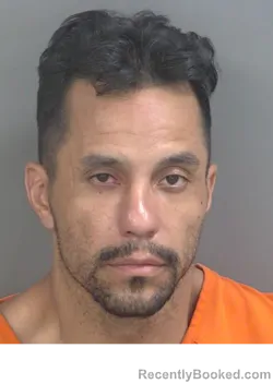 Mugshot of CHRISTOPHER KAPISH booked in Collier County, Florida on May 14, 2026