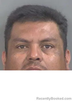 Mugshot of ISMAEL MENDOZA CERVANTES booked in Collier County, Florida on May 14, 2026